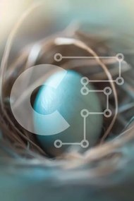 Σετ των 2 Intra Συλλεκτικό Ξύλινο Παζλ Plywood  4mm - Μπλε Μπάλα στη Φωλιά του Πουλιού Σε Ξύλινο Κουτί - Διαστάσεις: 10x10 cm – 25 κομμάτια