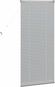 vidaXL Βενετσιάνικες Ρόδες Ασημί 130 x 55 εκ Αλουμίνιο