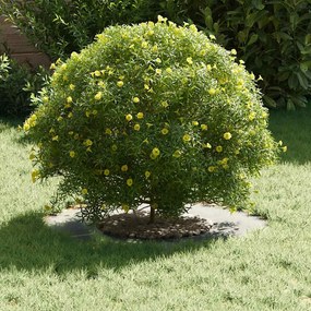 vidaXL Flat Tree Ring Ø30/60 εκ. Γαλβανισμένος Χάλυβας