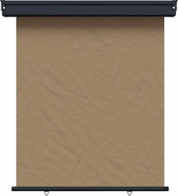 vidaXL Αυλούπα Πλευράς Μπαλκονιού 117 x 250 cm