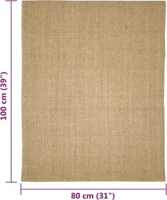 vidaXL Χαλί Σιζάλ για Ονυχοδρόμιο 80x100 εκ.