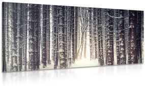 Εικόνα δάσος τυλιγμένο στο χιόνι - 100x50