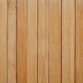 vidaXL Διαχωριστικό Δωματίου σε Φυσικό Χρώμα 250 x 165 εκ. Μπαμπού
