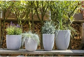 Γλάστρα Capi Europe Πλαστική ύλη Στρόγγυλο