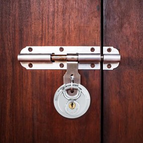 vidaXL Κλειδώματα Discus με Κλειδιά Ασημί Ανοξείδωτο ατσάλι