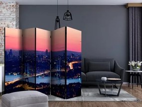 Διαχωριστικό με 5 τμήματα - Bosphorus Bridge II [Room Dividers]