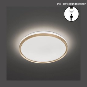 Πλαφονιέρα οροφής F&H Jaso BS-Διάμετρος 39 εκ.-Χρυσό