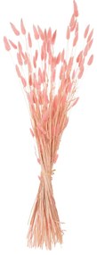 ΔΙΑΚΟΣΜΗΤΙΚΟ ΜΠΟΥΚΕΤΟ ΑΠΟΞΗΡΑΜΕΝΟ HM7960 RABBIT TAIL-PINK 75Υεκ.