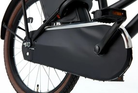 Daily Dutch Basic 20 Inch 32 cm Girls Coaster Brake Matte black