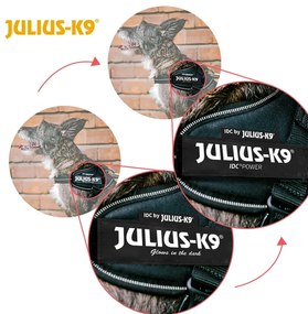 Λουρί Σκύλου Julius K9 IDC Καουμπόη M/L