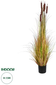 20114 GloboStar® Artificial Garden TYPHA ANGUSTIFOLIA GRASS 20114 Τεχνητό Διακοσμητικό Φυτό Γρασίδι της Τύφας Υ150cm