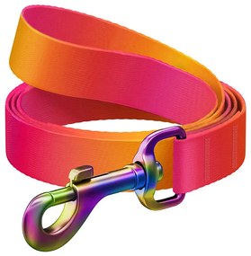 WAUDOG gradient nylon dog leash, 122 cm long, orange