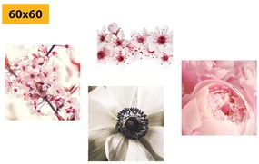 Σετ εικόνων λιχουδιά των λουλουδιών - 4x 60x60