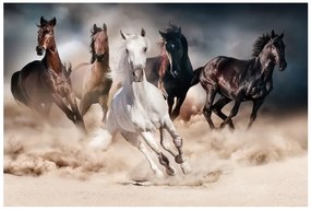 OBRAZ HORSES 120X80 DIOMMI-80-2850