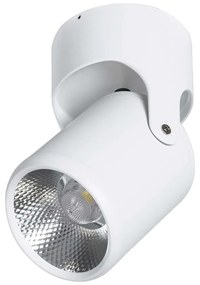 Φωτιστικό Οροφής - Σποτ Detronic 60500 Φ9x16cm Led 1350lm 10W 6000K White GloboStar