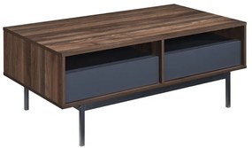Liberta GROOVES COFFEE TABLE 2ΣΥΡΤΑΡΙΑ ΚΑΡΥΔΙ ΓΚΡΙ 110x60xH45cm 110x60xH45cm 04-0893