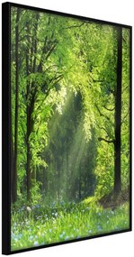 Αφίσα - Forest Path - 30x45 - Μαύρο - Χωρίς πασπαρτού