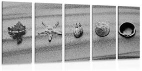 Εικόνα 5 μερών Κοχύλια σε αμμώδη παραλία σε μαύρο & άσπρο