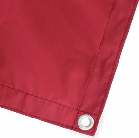 vidaXL Αδιάφανο σκίαστρο μπαλκονιού 200 x 500 cm