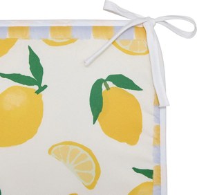 Μαξιλάρι Καρέκλας (39x39) A-S Fruity 215336A