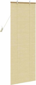 vidaXL Ρόλερ με κουρτίνες Φύση 60 x 160 εκ. Μπαμπού
