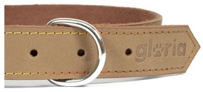 Κολλάρο Σκύλου Gloria Oasis Μπεζ (1,2 x 35 cm)