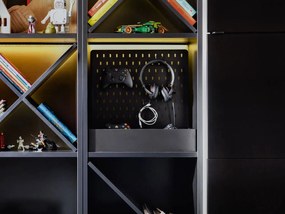 Θήκη οργάνωσης Young