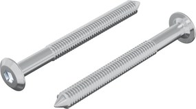 vidaXL Βίδα 2 pcs Ασημί M6 x 60 χιλ. Ατσάλι