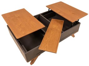 Τραπεζάκι Σαλονιού Aston 120x80x45