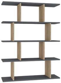 Βιβλιοθήκη Harmon 935CMN1193 90x25x127,4cm Anthracite-Oak