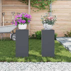 vidaXL Εξωτερικά Στηρίγματα Φυτών Pillar 2 τμχ Ανθρακί 24x24x55 εκ Ατσάλι