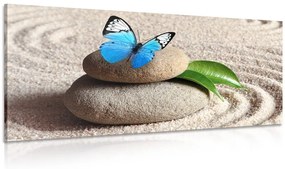 Εικόνα μιας μπλε πεταλούδας σε μια πέτρα Ζεν - 120x60