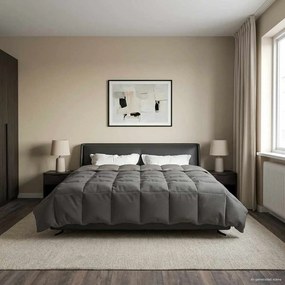 vidaXL Κουβέρτα ολόκληρου του χρόνου 220 x 240 cm