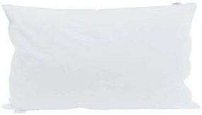 vidaXL Μαξιλάρι με μαξιλάρι Λευκό 40 x 80 cm Φτερό