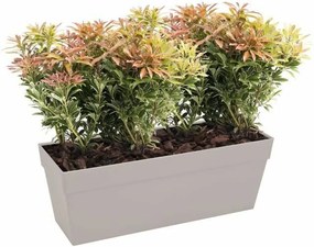 Βάζο Λουλουδιών Elho Λευκό 50 cm