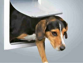 Πορτάκι Trixie Λευκό Πλαστική ύλη 30 × 36 CM