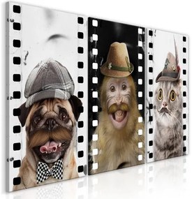 Πίνακας - Funny Pets (Collection) - 120x60