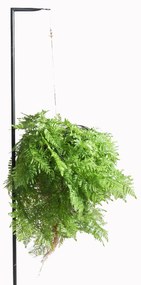 Supergreens Τεχνητή Κρεμαστή Ρίζα Φτέρη 65 εκ. - 3651-7 - 3651-7