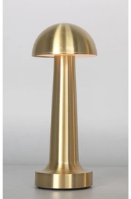 Επιτραπέζιο Φωτιστικό Led 3W 3000K Χρυσό Φ10x22cm - Μέταλλο - DT-LM-0020