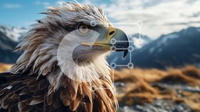 Σετ των 2 Intra Συλλεκτικό Ξύλινο Παζλ Plywood  4mm - Μεγαλοπρεπής αετός με καφέ και λευκά φτερά Σε Ξύλινο Κουτί - Διαστάσεις: 10x10 cm – 25 κομμάτια