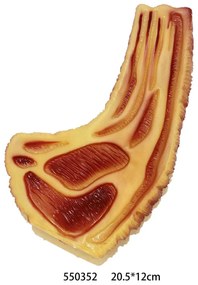 Παιχνίδι σκύλου Latex Steak - 20.5x12cm - 12pcs - 550352