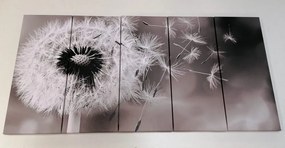 Εικόνα 5 τμημάτων πικραλίδα σε ασπρόμαυρο - 200x100