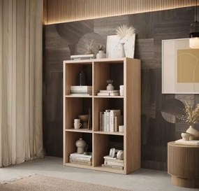 Βιβλιοθήκη Panau IV-Fusiko