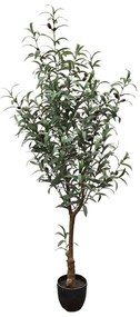Τεχνητό Δέντρο Ελιά 7660-6 65x65x150cm Green Supergreens Polyethylene