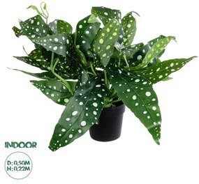 GloboStar® Artificial Garden BEGONIA POLKA DOT PLANT 20959 Διακοσμητικό Φυτό Βιγόνια Φ50 x Υ22cm