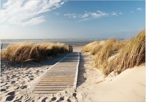 Αυτοκόλλητη φωτοταπετσαρία - Lonely Beach - 392x280