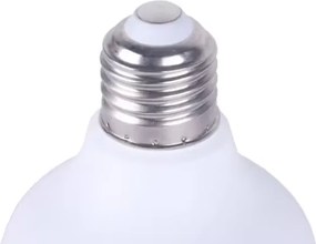 Λάμπα LED - 60W - 6500K - T - 430203