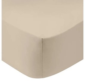 Κατωσέντονο Cotton Feelings με λάστιχο 109 Sand Ημίδιπλο (120x200+30)