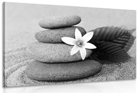 Εικόνα λουλουδιού και πέτρες στην άμμο σε μαύρο & άσπρο - 120x80