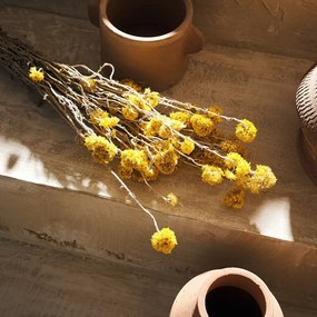 Λουλούδια Αποξηραμένα Sanfordi 120 45cm 40gr Yellow Gofis Home